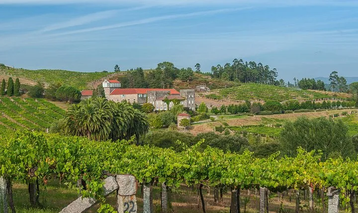 Albariño trails Private Wine Tour/Shore excursion from Vigo