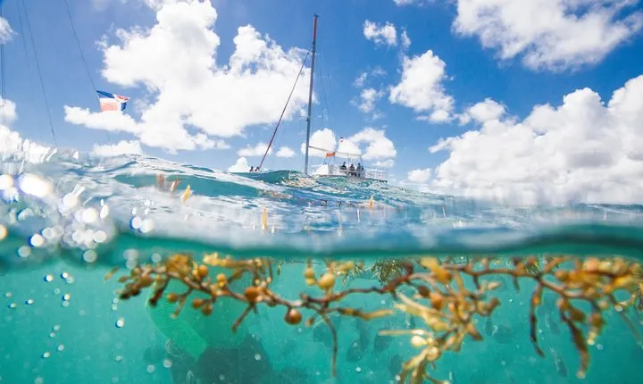 Small-Group Cruising and Snorkeling Catamaran Tour