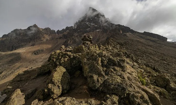 Private Day Tour to Mount Kenya from Nairobi