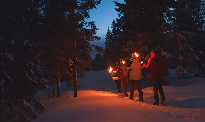 Winter Forest Walk and Campfire by Torchlight in Oslo