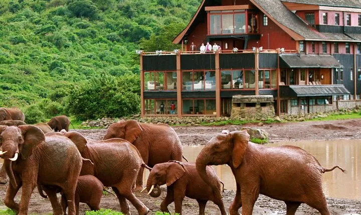 Private 6 Days Aberdares, Lake Nakuru and Masai Mara Wildlife Safari