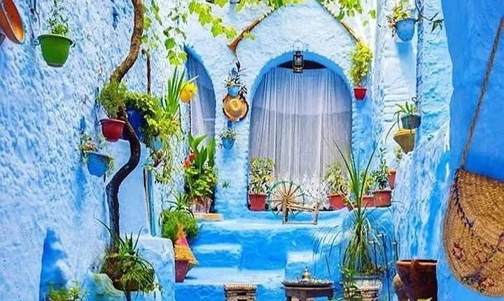 Full-Day Tour to the Blue City Chefchaouen on Small-Group