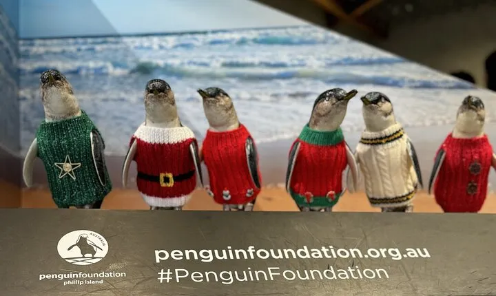 Melbourne: Private Phillip Island Penguin Parade & Wildlife Tours
