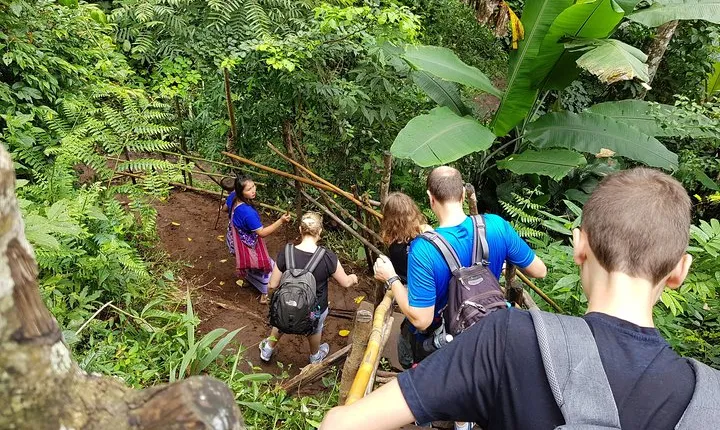 Private Tour: Doi Inthanon National Park & Hiking