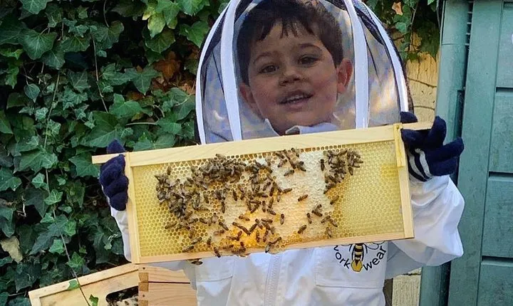 Discover active beehives in London