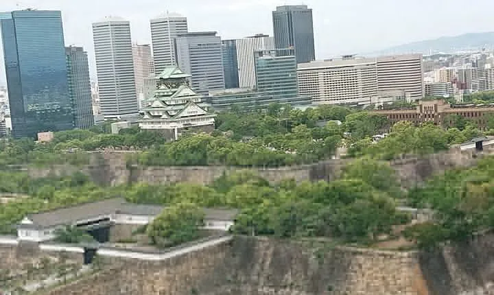 Osaka Castle & Dotonbori Lively One-Day Walking Tour