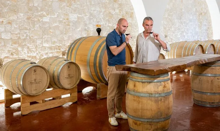  Wine and Food Pairing Experience at Alberobello Winery
