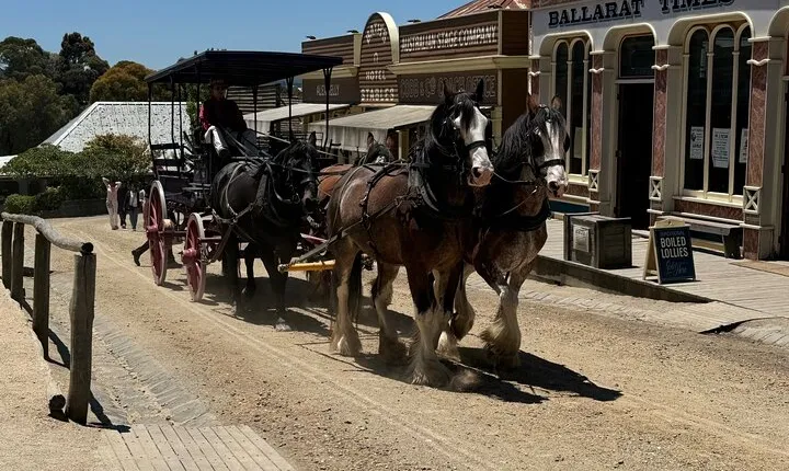 Private Ballarat Sovereign Hill Gold Mine Tours