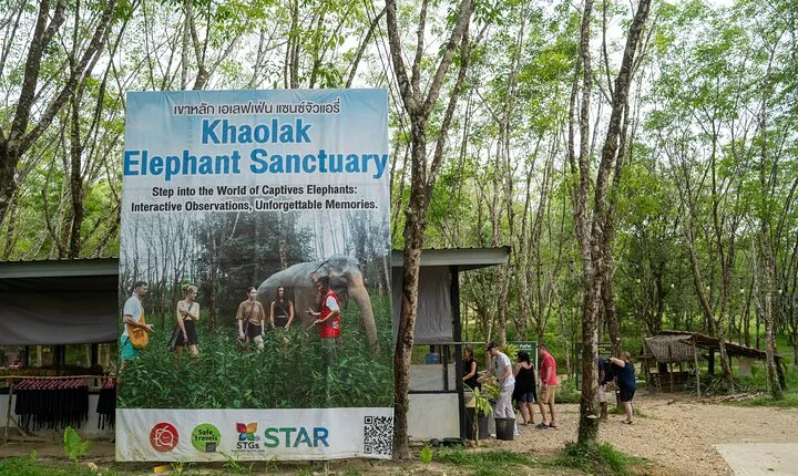 Evening Guide Tour to Khaolak Elephant Sanctuary Free 1 Cocktail