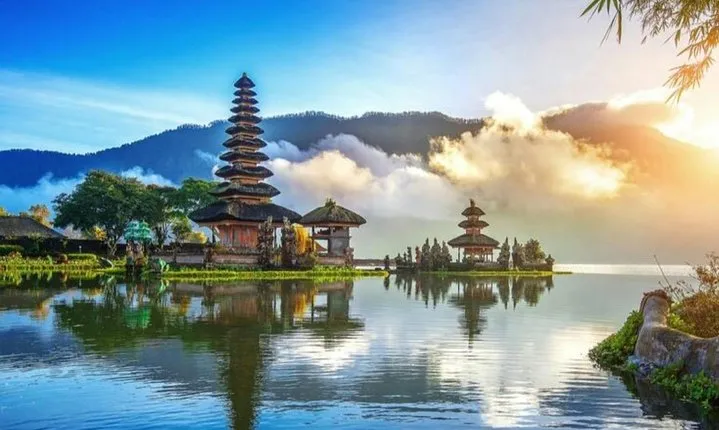 Best of Bali Water Temple and UNISCO Rice Terrace Trek