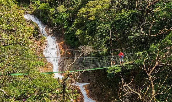 5 in 1 sloth, Rainforest, waterfalls, hanging bridges, volcanic activity tour.