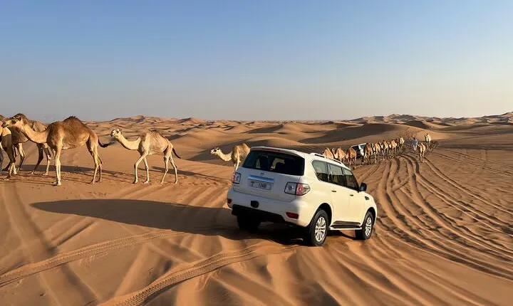 Dubai Desert Safari, Camel Ride, Shisha, Henna, Live BBQ & Shows