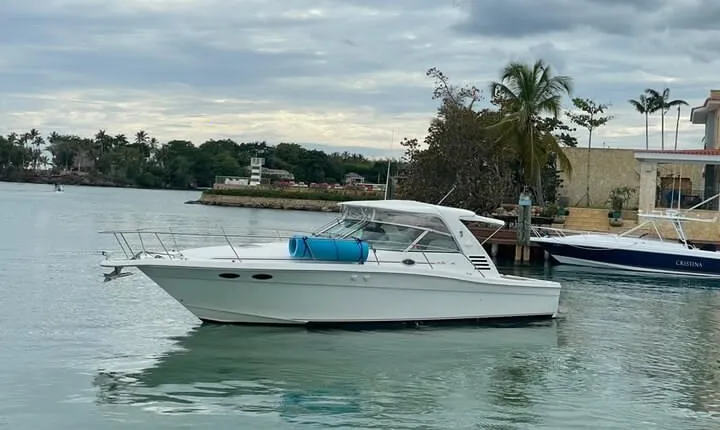 Private Yacht Tours To Isla Saona, Natural Pool Palmilla And Snorkeling.