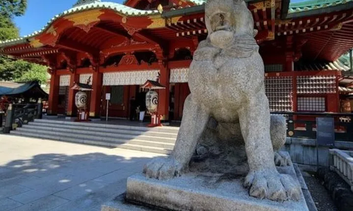 3 Hour Private Tour by Visiting Kanda Myojin Shrine in Chiyoda