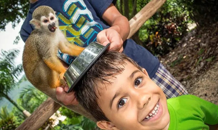 Monkeyland and Plantation Safari Tour from Punta Cana