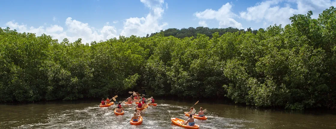 4x4 safari, mangrove lagoon kayaking and reef snorkeling