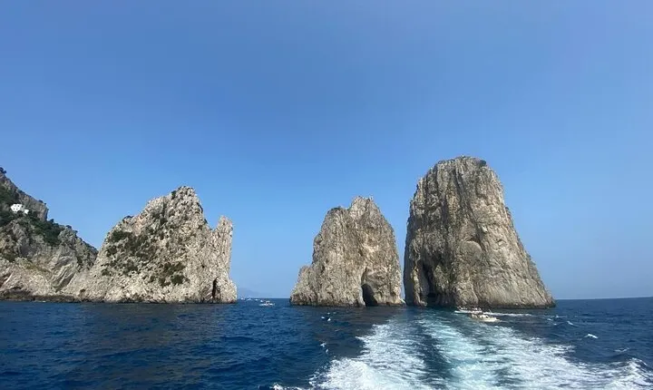 Guided Tour of Capri, hydrofoil and bus included for small groups