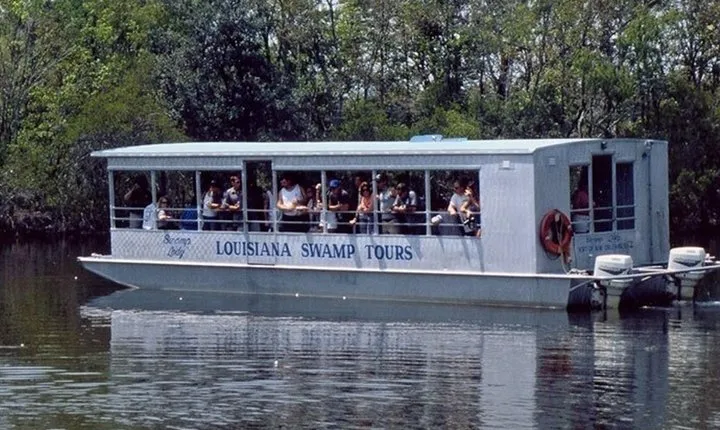 New Orleans Swamp Tour Boat Adventure