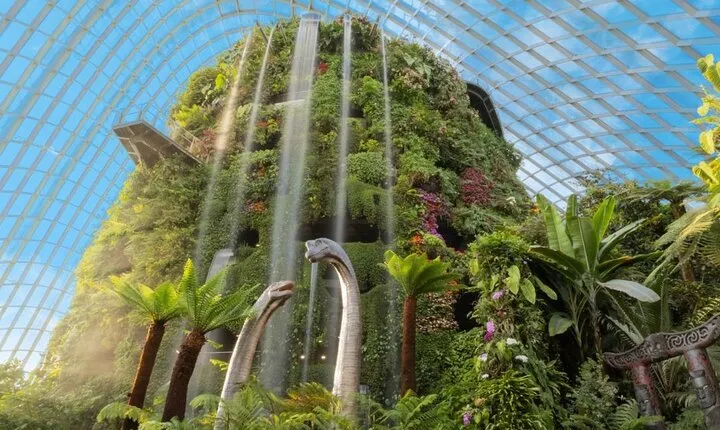 Gardens by the Bay Tickets (Flower Dome+Cloud Forest)