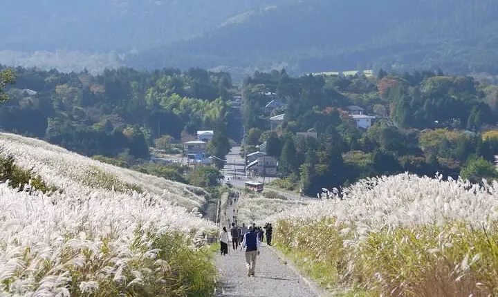 Easygoing Nature Walk in Hakone Tour