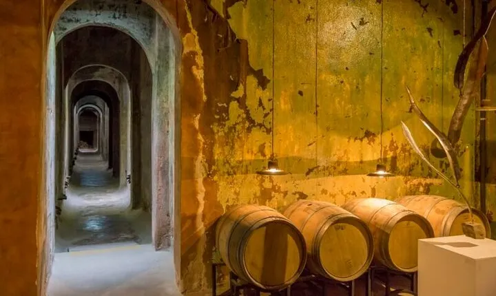 Wine Tour Privado a Colonia Caroya, Córdoba - Argentina