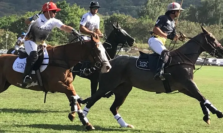 Oahu Polo Game and Private Island Tour from Honolulu