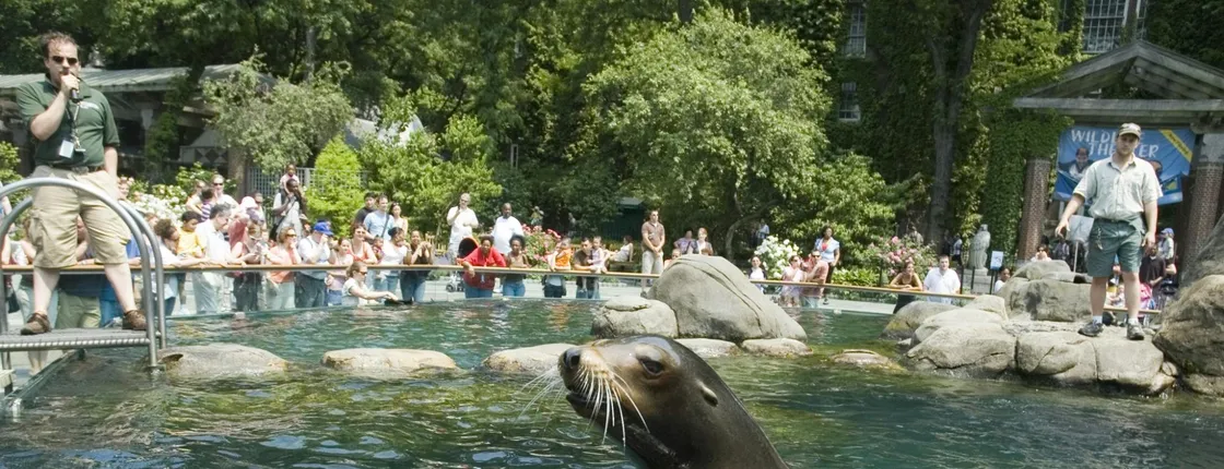 Central Park Zoo and Manhattan Walking Tour