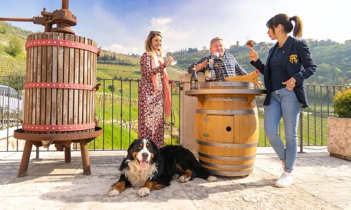 The Grand tour of Valpolicella: 2 Wineries, Lunch & Amarone focus