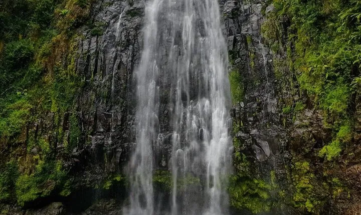 Materuni Waterfall and Coffee tour, Tanzania