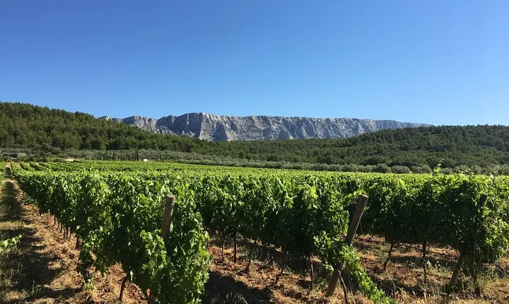 Short Day Tour around Aix en Provence and Wine Tasting