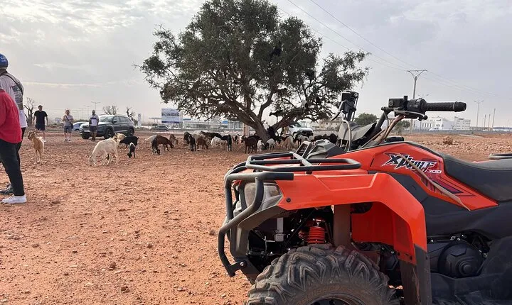 Goat on Trees & Desert Quad Biking Including hotel Transfers