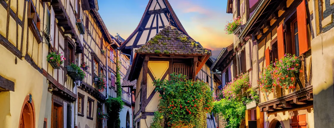 Full-day shared tour of the pearls of Alsace