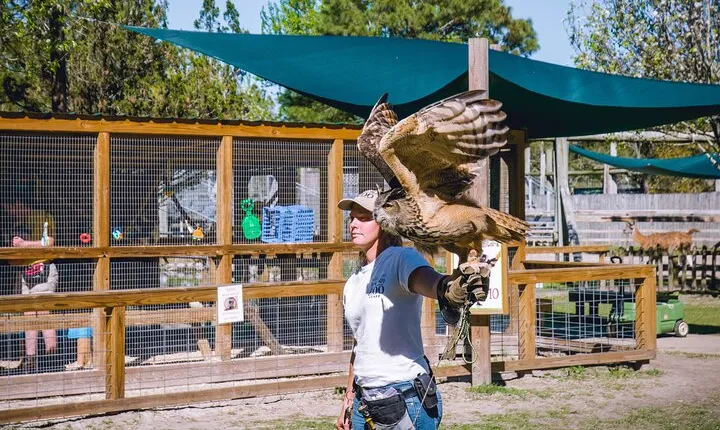 Gulf Shores, Orange Beach Area Multi-Attraction Pass