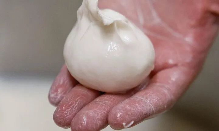 Masseria Seppunisi Tour - Mozzarella and Burrata experience