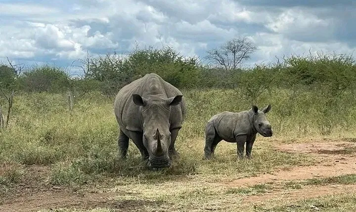 Central and East Tour