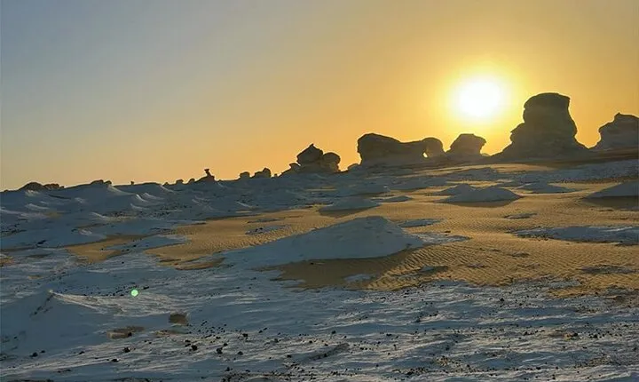 Western desert Safari white&black desert (2 Days,1 Night)