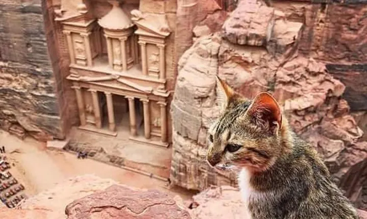 Discover Jordan