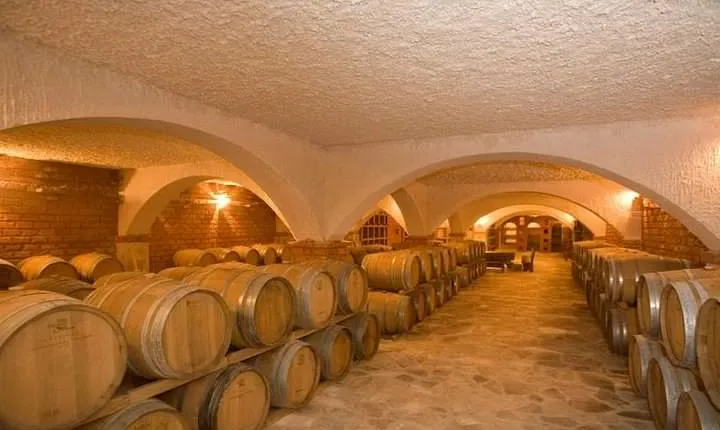 Peljesac Wine Private Day Trip from Dubrovnik