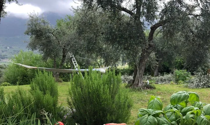 Cooking course Italian cooking together in Palombara Sabina