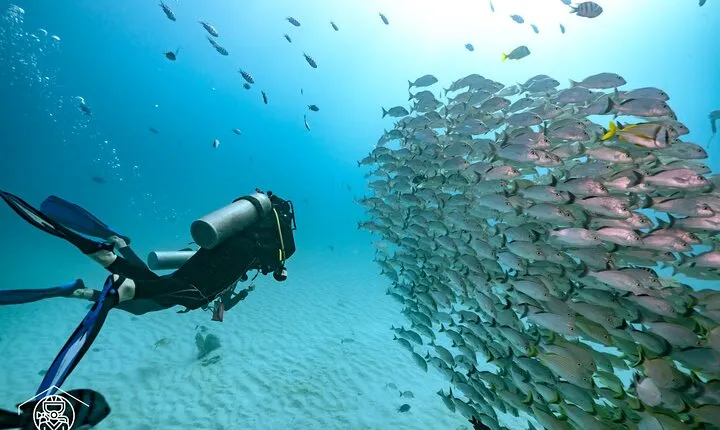 Local Dive in Playa del Carmen