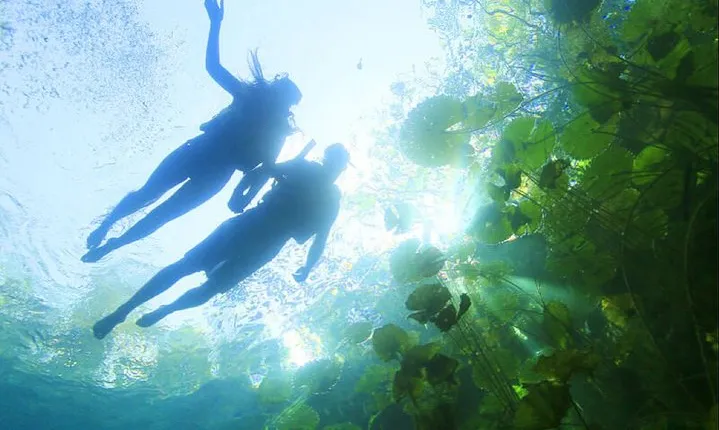 ECHANTING 2 Days excursion to 2 different ecoparks in RIVERA MAYA with transport