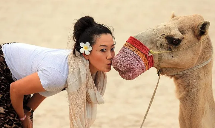 Explore The Sunset or Sunrise at Giza Pyramids By Camel and Horse Riding
