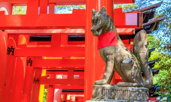 Fushimi Inari Deep Shinto Shrine Tour while Hiking with Expert