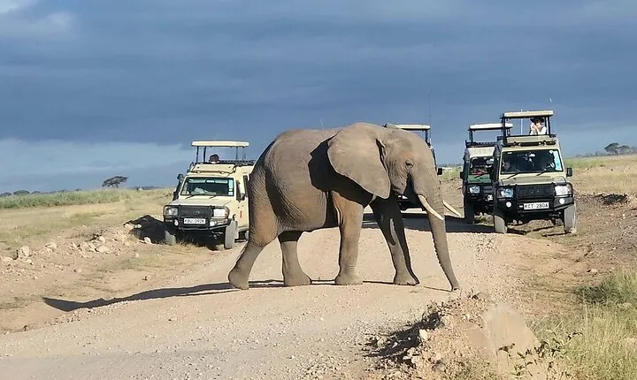 6 Days Safari Tour in Amboseli, Tsavo West and Tsavo East