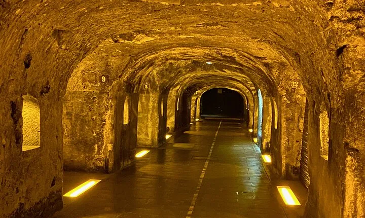 Moet Chandon Champagne Cellars Tastings Private trip from Paris 