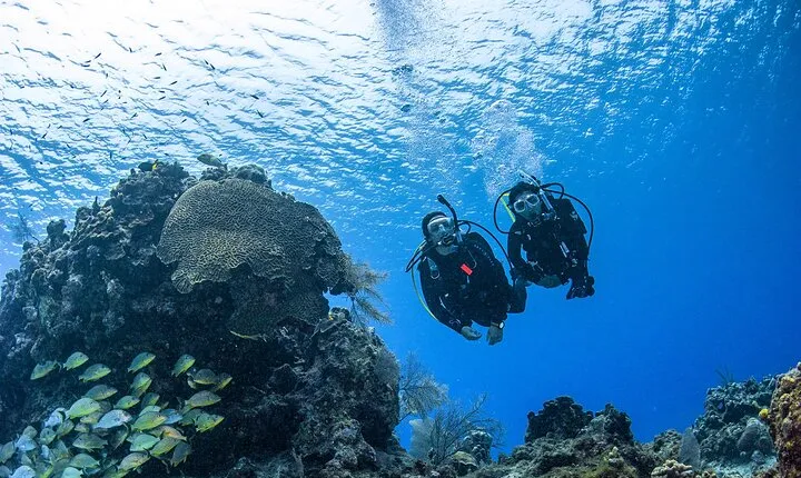 From Dubai: PADI Open Water Diver Course