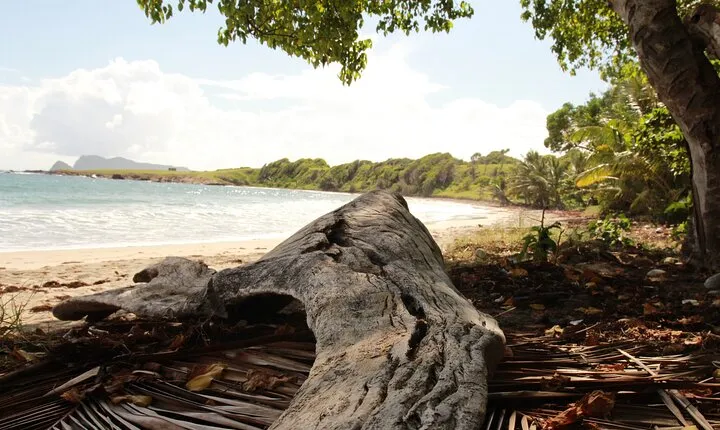Horseback Riding Adventure Tour in St. Lucia