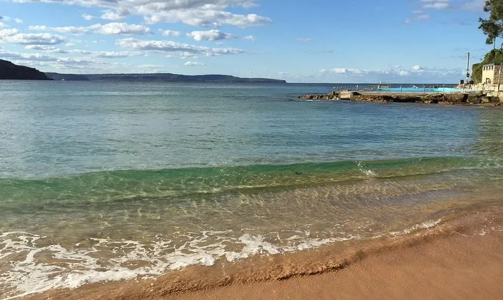 Small-Group Sydney's Northern Beaches & Ku-ring-gai Park Tour