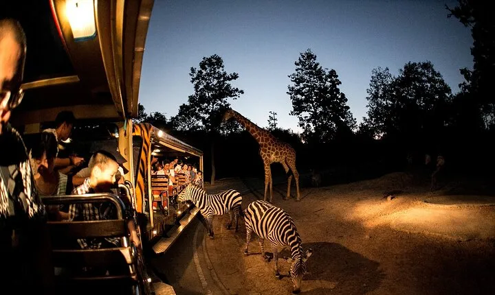 Chiang Mai Night Safari Ticket