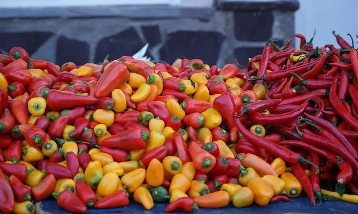 Private Walking Tour- Bites of History and Gastronomy 